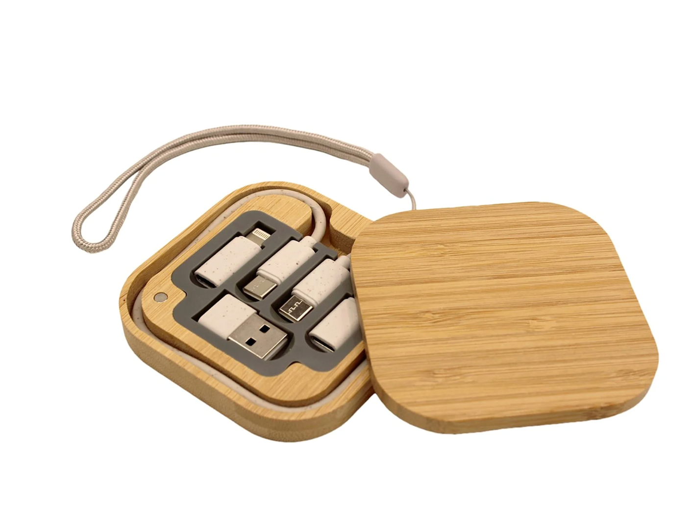 iPort Charging Cable Kit