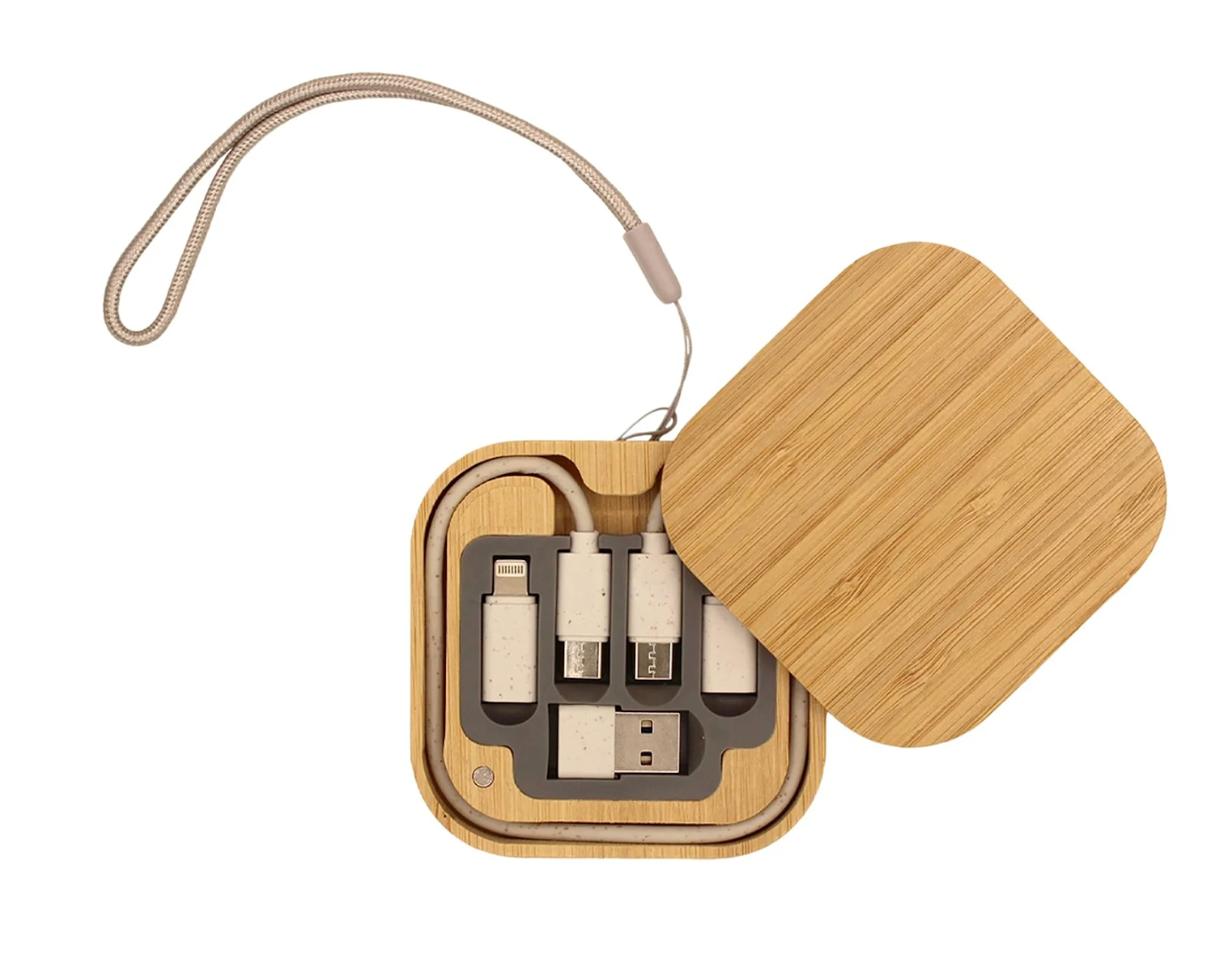 iPort Charging Cable Kit